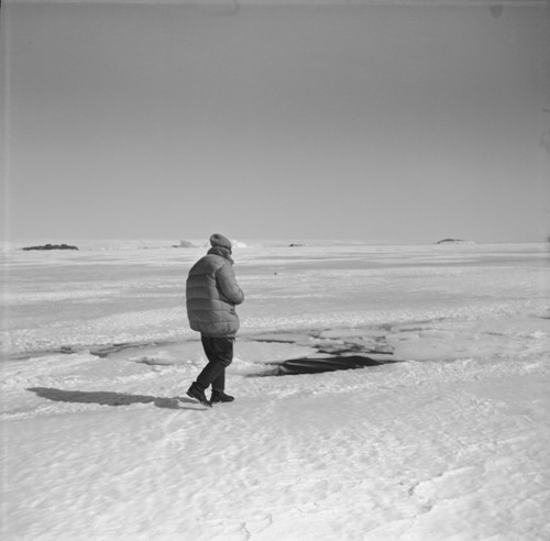 Mikhail V. Propp and a minke whale in a sea ice crack