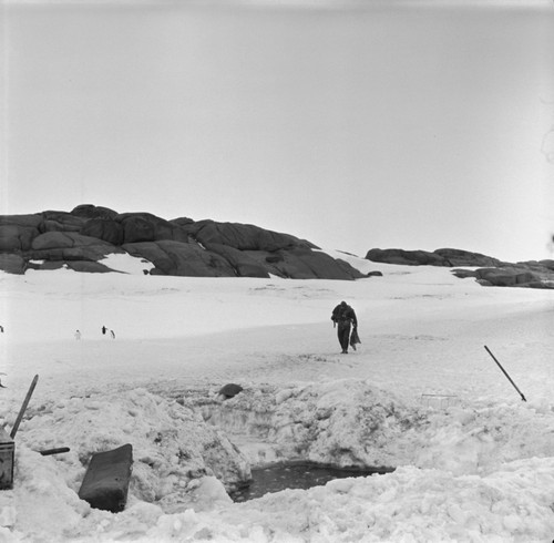 Alexander F. Pushkin approaching the ice hole after heavy blizzard