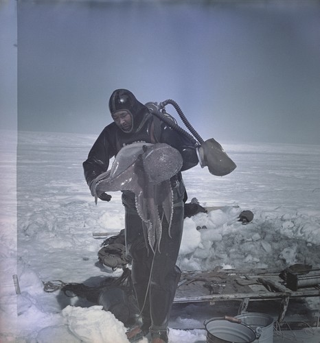 Alexander F. Puskin with octopus