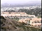 The History of Corona