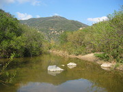 View of a run in Topanga Creek, California