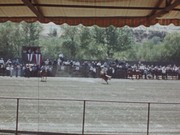 Hollister Rodeo, 1941