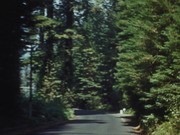 Mendocino Coast, 1941