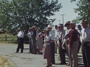 Beef Cattle Tour, 1941