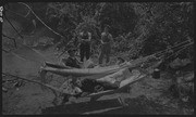 Hammocks at Willow Camp