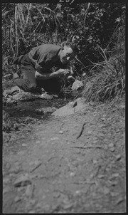 Man by a creek, Mount Tamalpais