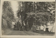 Automobile passengers under the big trees