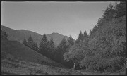 Rattlesnake Camp from West Point Road