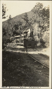 Mt. Tamalpais and Muir Woods Railway train heading down the mountain