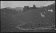 Dipsea Trail from 1921 girl's race