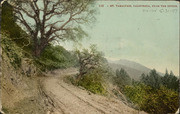 Mt. Tamalpais, California, from the divide