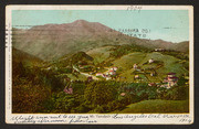 Mill Valley with Mt. Tamalpais in the background