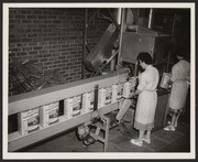 Assembly line workers inside Ferry-Morse plant