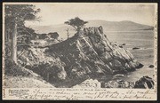 Midway Point - Monterey Peninsula