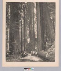 State Highway, Humboldt County, Calif