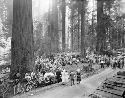 Founders Tree dedication, Dyerville, Humboldt Redwoods State Park