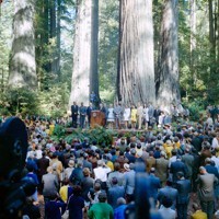 Dignitaries on stage at dedication of Lady Bird Johnson Grove, Redwood National Park