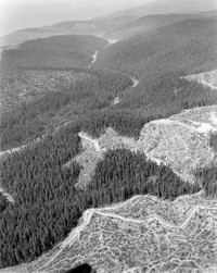Logging by Arcata Redwood Company, Redwood National Park area