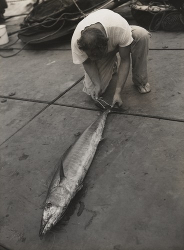 Bob Wisner with fish