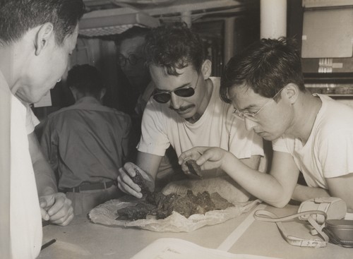 Japanese biologist, Rob Fisher and Noriyuki Nasu examining volcanic samples collected at Bayonnaise Rocks