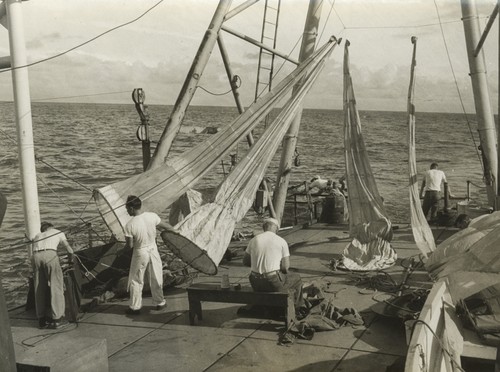 Drying plankton nets. Dahlgren (Bos'n) on bench, Transpac