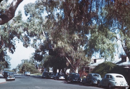 Residential street in La Jolla, California. February 1945