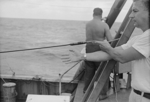 [Man showing connection of rope to wire rope, R/V HORIZON]