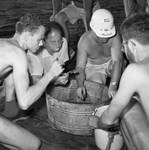 [Neil Marshall examining dredge haul]