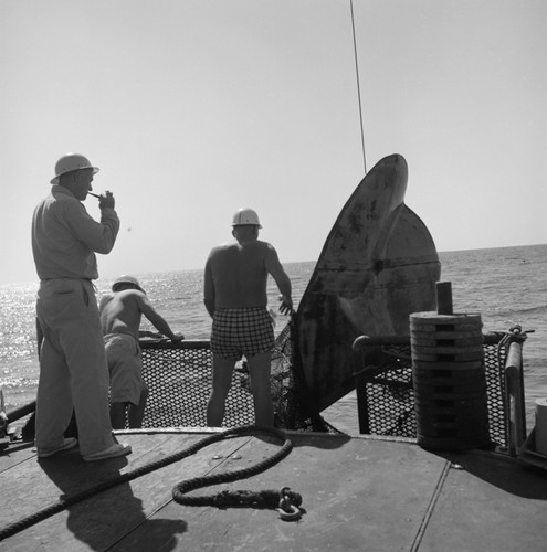 [Trawl presser foot suspendedl from A frame at night]