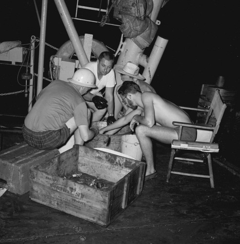 [Group of men sorting dredge haul]