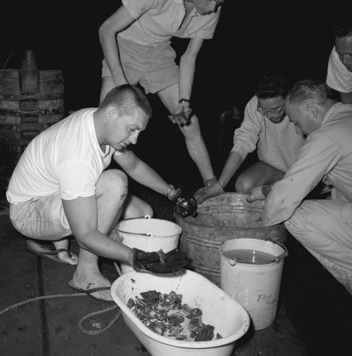 [Oceanographers examine contents of dredge haul]