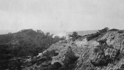 Torrey Pines