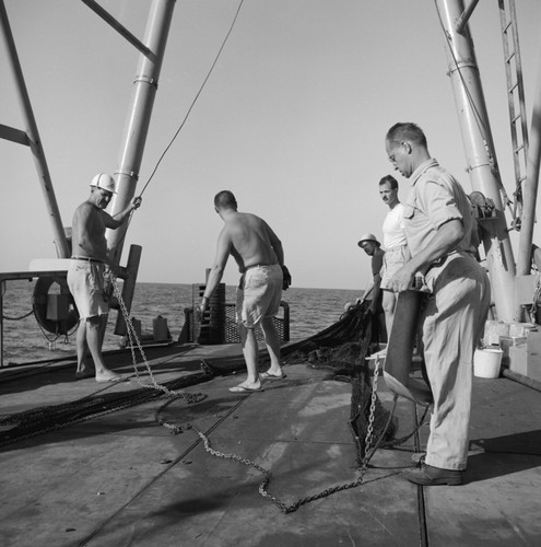 Frederick S. Dixon, George G. Shor and others deploying trawl. Onboard R/V Spencer F. Baird, during Vermilion Sea Expedition,1959