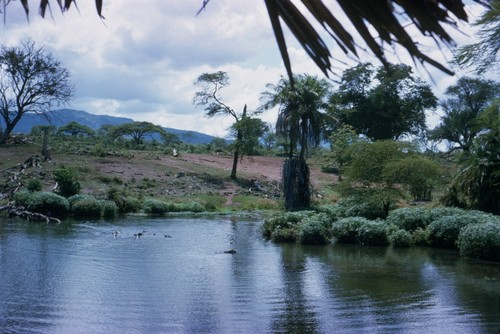 A Safari to Mt. Kilamanjaro was undertaken by 4-5 members of the scientific party while repairs were being made to R/V Argo in Mombasa