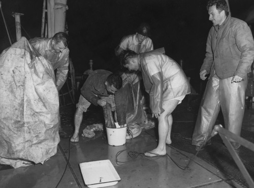 Mid-water trawl hauls. From left: Eugene Cochran, John McGowan, Bob Wisner, Dick Morita, Ed Brinton