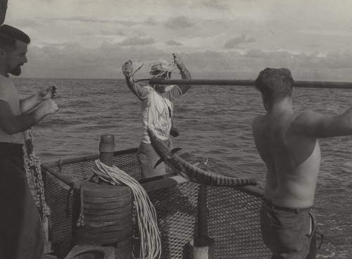 McGowan, D. Coolidge, J.B. Smith Working, Transpac