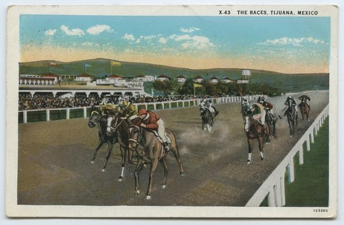 The races, Tijuana, Mexico