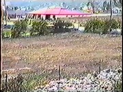 California Citrus