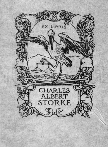 Charles Albert Storke