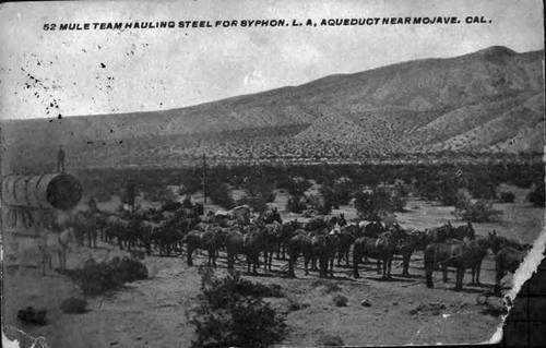 52 mule team hauling steel for siphon for Los Angeles Aqueduct near Mojave, California