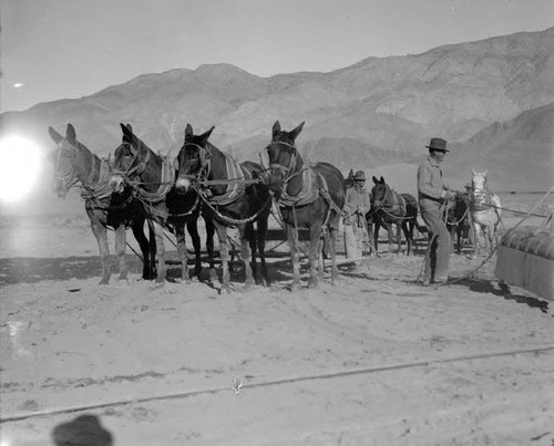 Los Angeles Aqueduct Construction