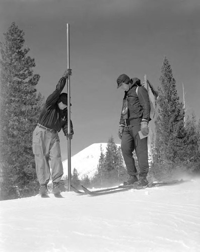 Snow Surveys