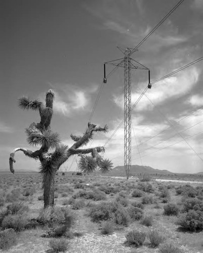 Free-standing tower on the Pacific Intertie line crossing the desert