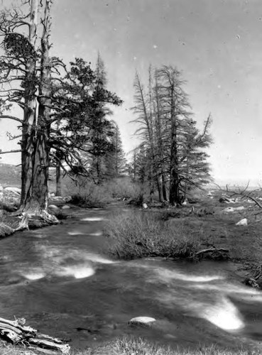 Scenic Views - Owens Valley