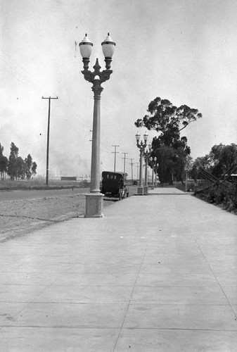 Street lights - Wilshire Blvd