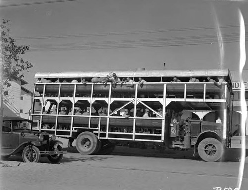 Hoover Dam Construction