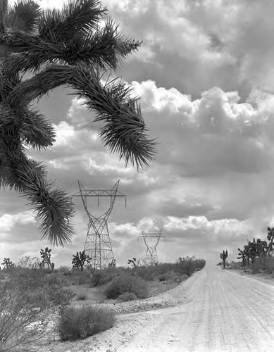 Owens Gorge Power Line