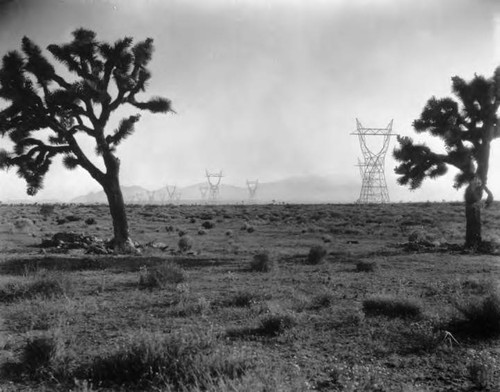 Boulder Dam Transmission Lines