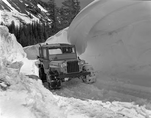 Snow Surveys