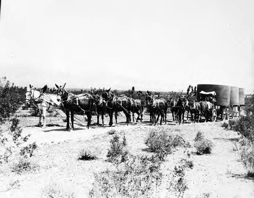 Methods of Transporting Materials and Men During Construction on Aqueduct